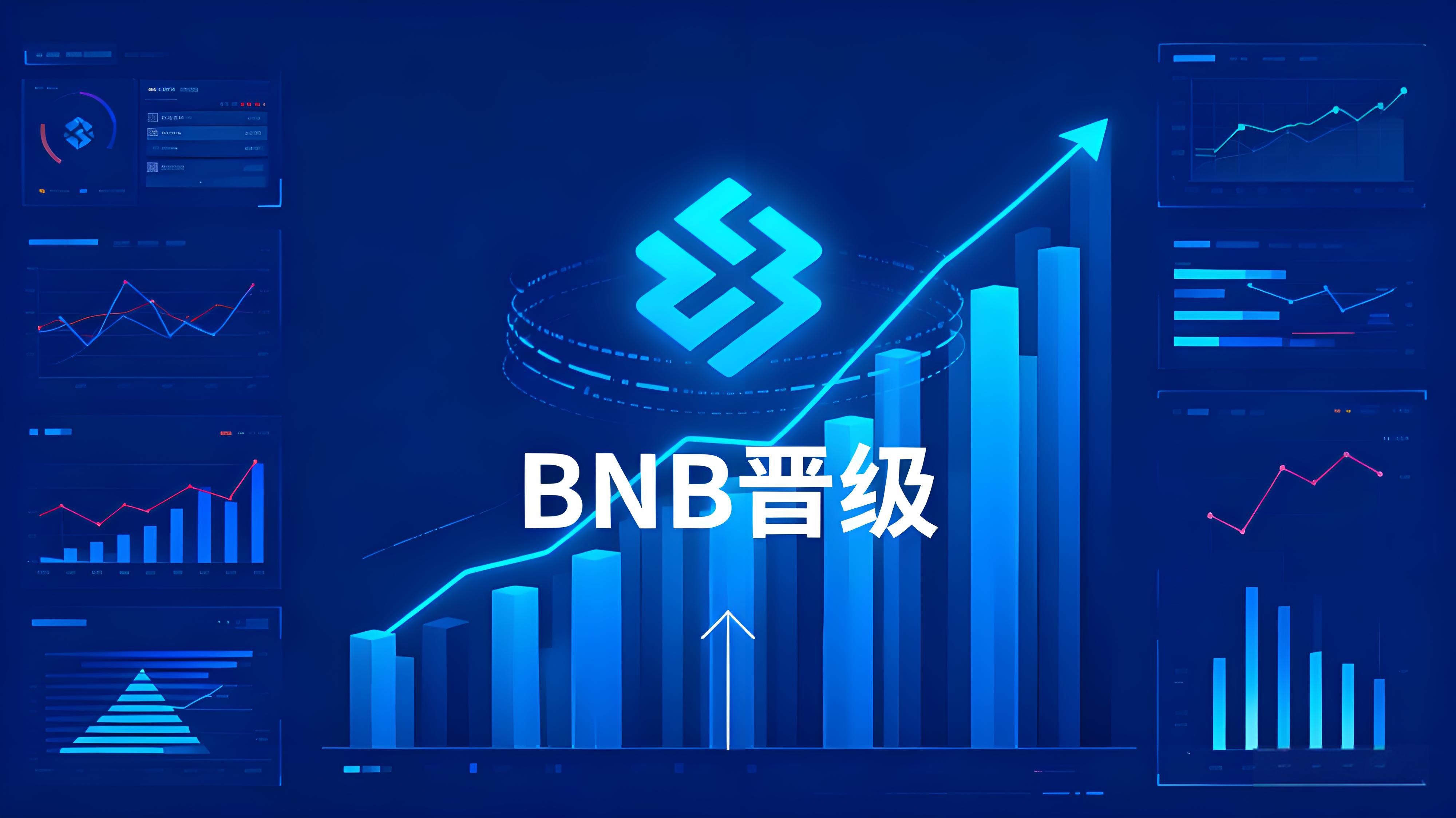 币安BNB晋级投资者有什么益处?